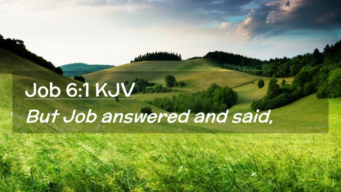 Picture 02 - Job 6:1 KJV Desktop Wallpaper - But Job answered and - Desktop Bible Verse Wallpaper
