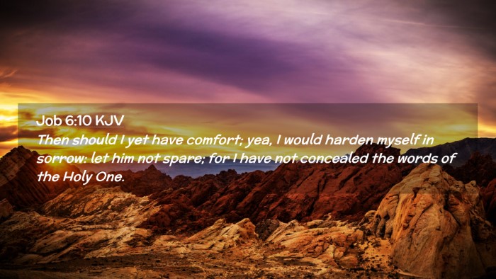 Picture 02 - Job 6:10 KJV Desktop Wallpaper - Then should I yet have comfort; yea, I would - Desktop Bible Verse Wallpaper
