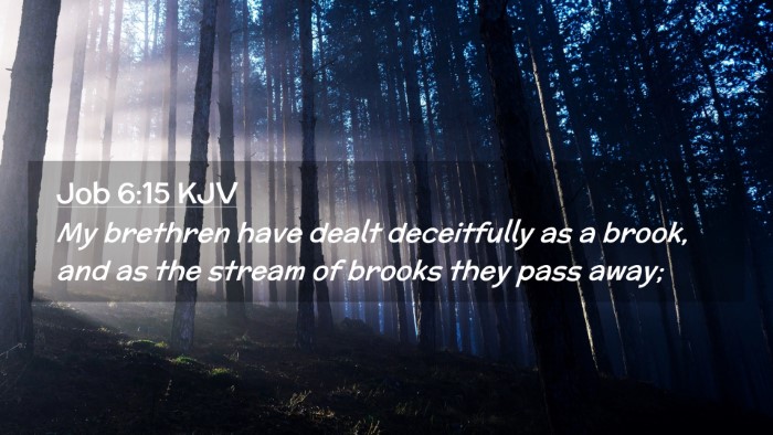 Picture 02 - Job 6:15 KJV Desktop Wallpaper - My brethren have dealt deceitfully as a brook, - Desktop Bible Verse Wallpaper