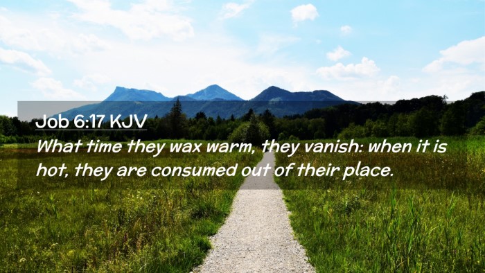 Picture 02 - Job 6:17 KJV Desktop Wallpaper - What time they wax warm, they vanish: when it is - Desktop Bible Verse Wallpaper