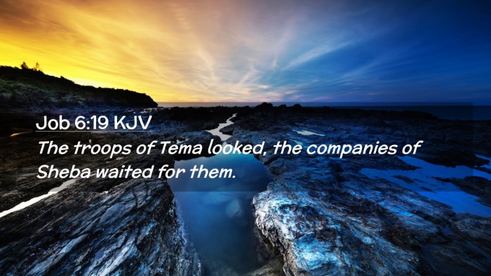 Picture 02 - Job 6:19 KJV Desktop Wallpaper - The troops of Tema looked, the companies of Sheba - Desktop Bible Verse Wallpaper