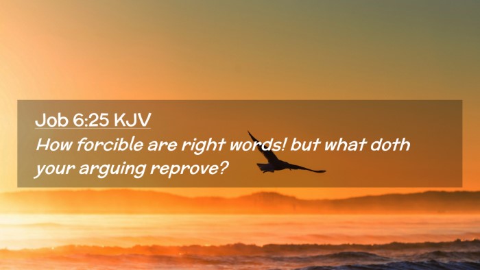 Picture 02 - Job 6:25 KJV Desktop Wallpaper - How forcible are right words! but what doth your - Desktop Bible Verse Wallpaper