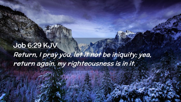Picture 02 - Job 6:29 KJV Desktop Wallpaper - Return, I pray you, let it not be iniquity; yea, - Desktop Bible Verse Wallpaper