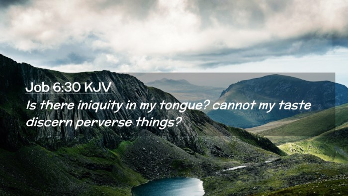 Picture 02 - Job 6:30 KJV Desktop Wallpaper - Is there iniquity in my tongue? cannot my taste - Desktop Bible Verse Wallpaper