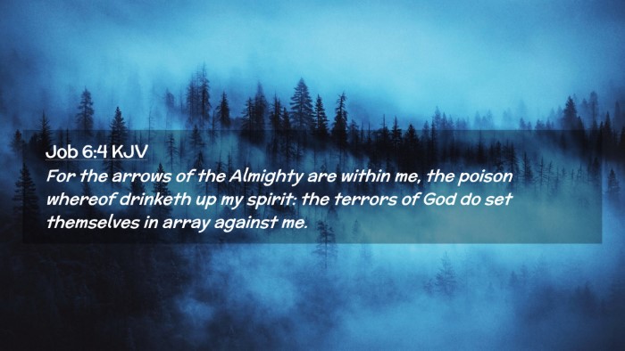 Picture 02 - Job 6:4 KJV Desktop Wallpaper - For the arrows of the Almighty are within me, the - Desktop Bible Verse Wallpaper