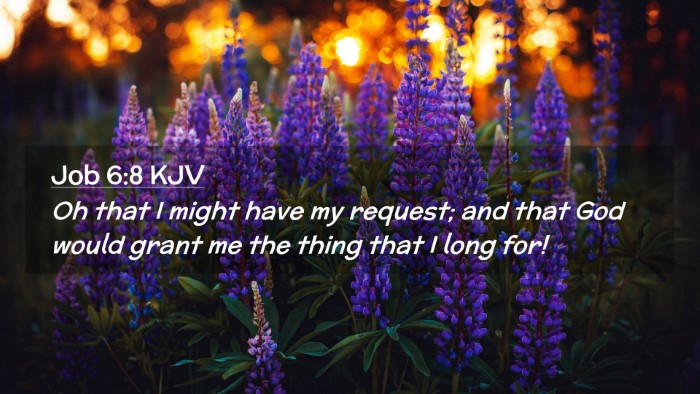 Picture 02 - Job 6:8 KJV Desktop Wallpaper - Oh that I might have my request; and that God - Desktop Bible Verse Wallpaper