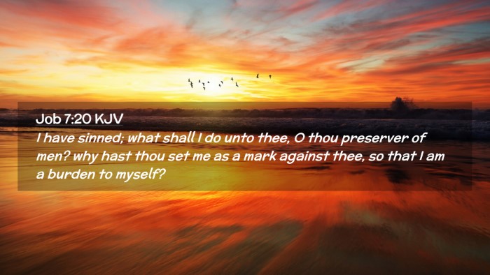 Picture 02 - Job 7:20 KJV Desktop Wallpaper - I have sinned; what shall I do unto thee, O thou - Desktop Bible Verse Wallpaper