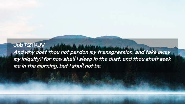 Picture 02 - Job 7:21 KJV Desktop Wallpaper - And why dost thou not pardon my transgression, - Desktop Bible Verse Wallpaper
