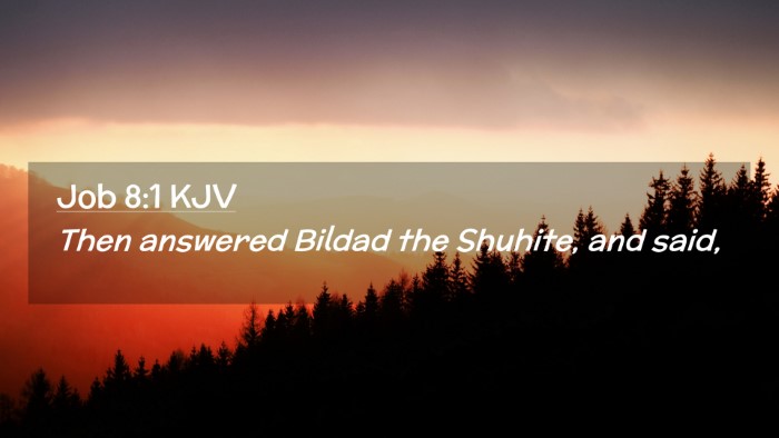 Picture 02 - Job 8:1 KJV Desktop Wallpaper - Then answered Bildad the Shuhite, and - Desktop Bible Verse Wallpaper