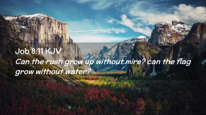 Picture 02 - Job 8:11 KJV Desktop Wallpaper - Can the rush grow up without mire? can the flag - Desktop Bible Verse Wallpaper