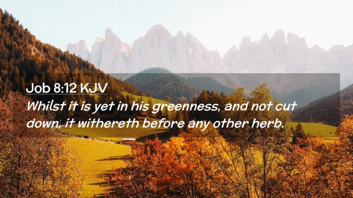 Picture 02 - Job 8:12 KJV Desktop Wallpaper - Whilst it is yet in his greenness, and not cut - Desktop Bible Verse Wallpaper