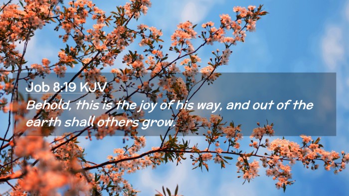 Picture 02 - Job 8:19 KJV Desktop Wallpaper - Behold, this is the joy of his way, and out of - Desktop Bible Verse Wallpaper