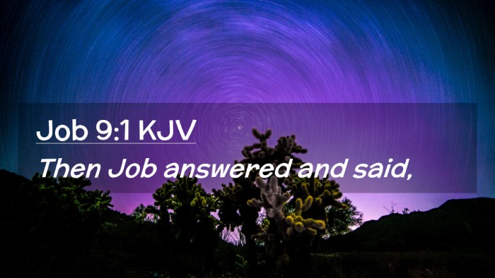 Picture 02 - Job 9:1 KJV Desktop Wallpaper - Then Job answered and - Desktop Bible Verse Wallpaper