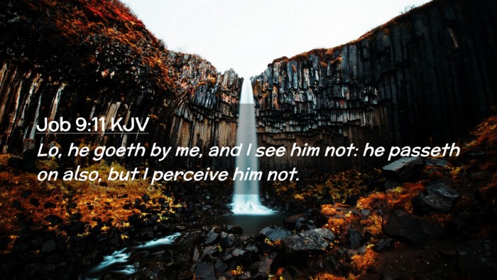 Picture 02 - Job 9:11 KJV Desktop Wallpaper - Lo, he goeth by me, and I see him not: he passeth - Desktop Bible Verse Wallpaper