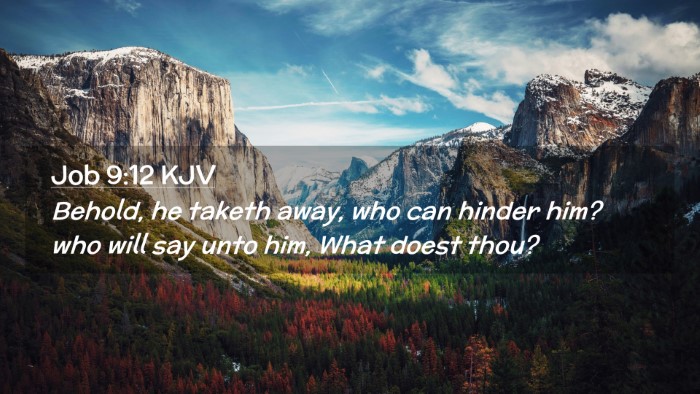 Picture 02 - Job 9:12 KJV Desktop Wallpaper - Behold, he taketh away, who can hinder him? who - Desktop Bible Verse Wallpaper