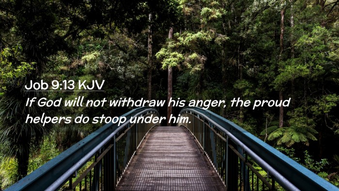Picture 02 - Job 9:13 KJV Desktop Wallpaper - If God will not withdraw his anger, the proud - Desktop Bible Verse Wallpaper
