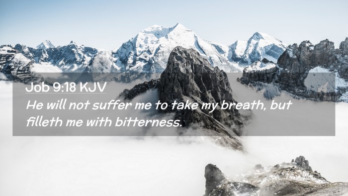 Picture 02 - Job 9:18 KJV Desktop Wallpaper - He will not suffer me to take my breath, but - Desktop Bible Verse Wallpaper
