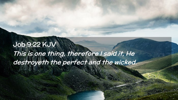 Picture 02 - Job 9:22 KJV Desktop Wallpaper - This is one thing, therefore I said it, He - Desktop Bible Verse Wallpaper