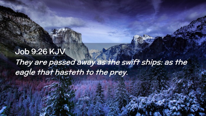 Picture 02 - Job 9:26 KJV Desktop Wallpaper - They are passed away as the swift ships: as the - Desktop Bible Verse Wallpaper