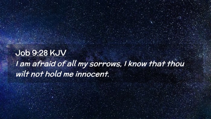 Picture 02 - Job 9:28 KJV Desktop Wallpaper - I am afraid of all my sorrows, I know that thou - Desktop Bible Verse Wallpaper