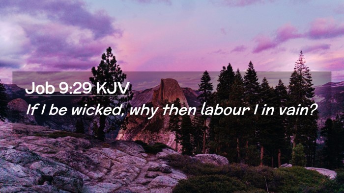 Picture 02 - Job 9:29 KJV Desktop Wallpaper - If I be wicked, why then labour I in - Desktop Bible Verse Wallpaper
