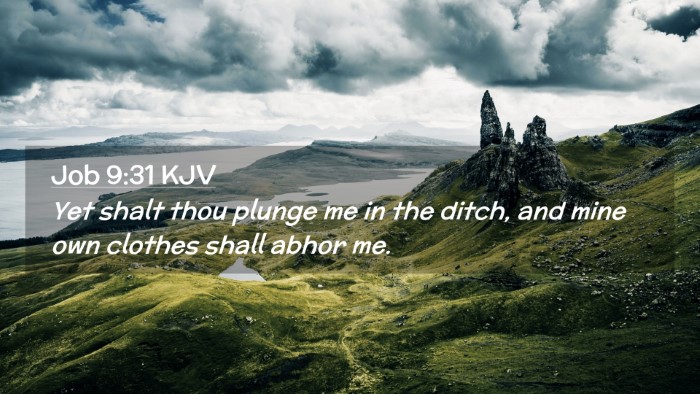 Picture 02 - Job 9:31 KJV Desktop Wallpaper - Yet shalt thou plunge me in the ditch, and mine - Desktop Bible Verse Wallpaper