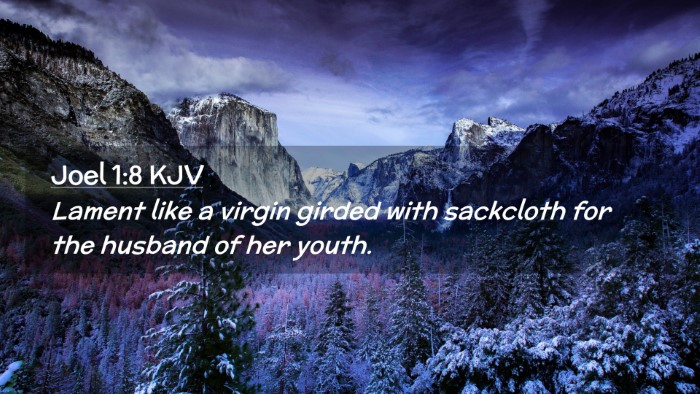 Picture 02 - Joel 1:8 KJV Desktop Wallpaper - Lament like a virgin girded with sackcloth for - Desktop Bible Verse Wallpaper