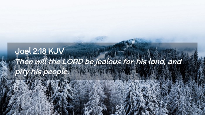 Picture 02 - Joel 2:18 KJV Desktop Wallpaper - Then will the LORD be jealous for his land, and - Desktop Bible Verse Wallpaper