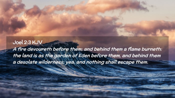 Picture 02 - Joel 2:3 KJV Desktop Wallpaper - A fire devoureth before them; and behind them a - Desktop Bible Verse Wallpaper