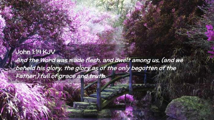 Picture 02 - John 1:14 KJV Desktop Wallpaper - And the Word was made flesh, and dwelt among us, - Desktop Bible Verse Wallpaper