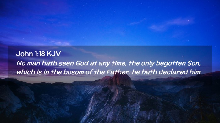 Picture 02 - John 1:18 KJV Desktop Wallpaper - No man hath seen God at any time, the only - Desktop Bible Verse Wallpaper
