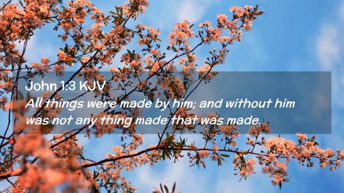 Picture 02 - John 1:3 KJV Desktop Wallpaper - All things were made by him; and without him was - Desktop Bible Verse Wallpaper