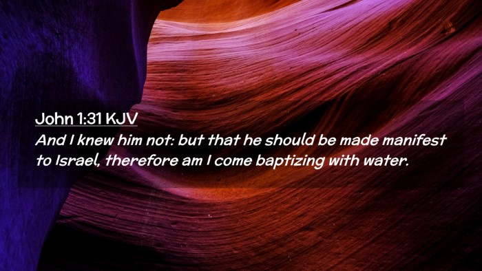 Picture 02 - John 1:31 KJV Desktop Wallpaper - And I knew him not: but that he should be made - Desktop Bible Verse Wallpaper