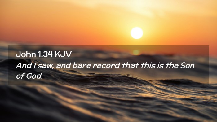 Picture 02 - John 1:34 KJV Desktop Wallpaper - And I saw, and bare record that this is the Son - Desktop Bible Verse Wallpaper