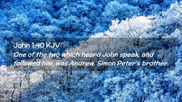 Picture 02 - John 1:40 KJV Desktop Wallpaper - One of the two which heard John speak, and - Desktop Bible Verse Wallpaper