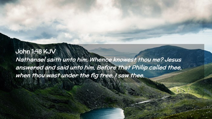 Picture 02 - John 1:48 KJV Desktop Wallpaper - Nathanael saith unto him, Whence knowest thou me? - Desktop Bible Verse Wallpaper