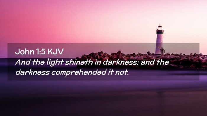 Picture 02 - John 1:5 KJV Desktop Wallpaper - And the light shineth in darkness; and the - Desktop Bible Verse Wallpaper