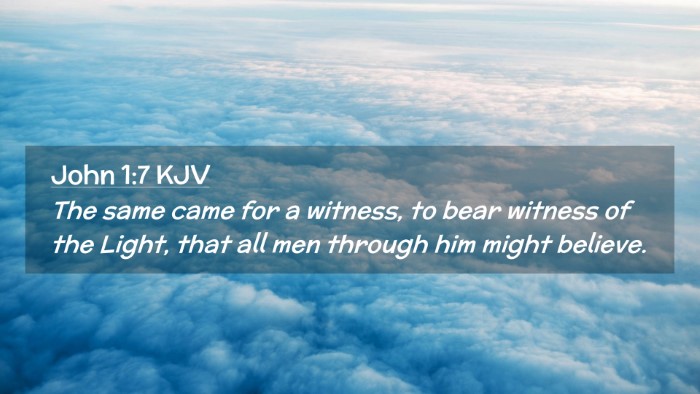 Picture 02 - John 1:7 KJV Desktop Wallpaper - The same came for a witness, to bear witness of - Desktop Bible Verse Wallpaper