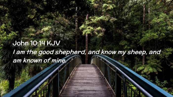 Picture 02 - John 10:14 KJV Desktop Wallpaper - I am the good shepherd, and know my sheep, and am - Desktop Bible Verse Wallpaper