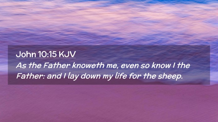 Picture 02 - John 10:15 KJV Desktop Wallpaper - As the Father knoweth me, even so know I the - Desktop Bible Verse Wallpaper
