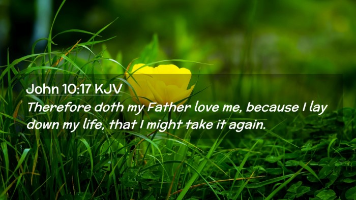 Picture 02 - John 10:17 KJV Desktop Wallpaper - Therefore doth my Father love me, because I lay - Desktop Bible Verse Wallpaper