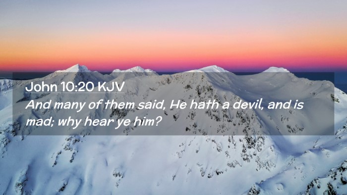 Picture 02 - John 10:20 KJV Desktop Wallpaper - And many of them said, He hath a devil, and is - Desktop Bible Verse Wallpaper
