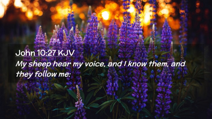 Picture 02 - John 10:27 KJV Desktop Wallpaper - My sheep hear my voice, and I know them, and they - Desktop Bible Verse Wallpaper