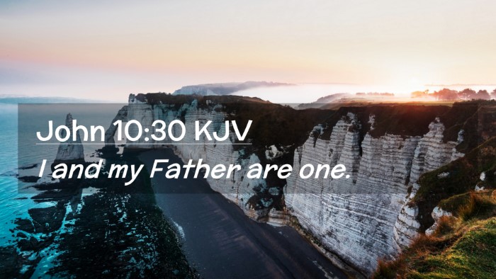 Picture 02 - John 10:30 KJV Desktop Wallpaper - I and my Father are - Desktop Bible Verse Wallpaper