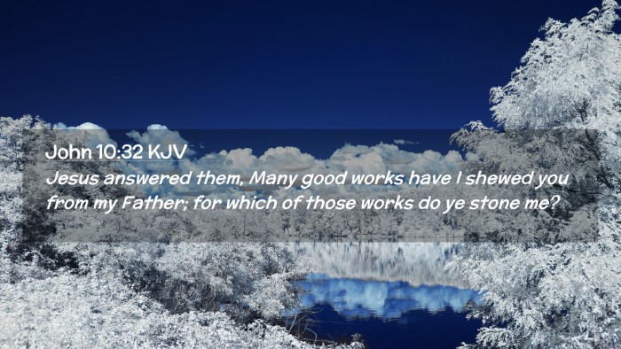 Picture 02 - John 10:32 KJV Desktop Wallpaper - Jesus answered them, Many good works have I - Desktop Bible Verse Wallpaper