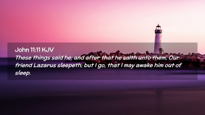 Picture 02 - John 11:11 KJV Desktop Wallpaper - These things said he: and after that he saith - Desktop Bible Verse Wallpaper