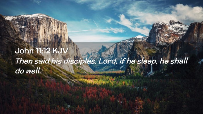 Picture 02 - John 11:12 KJV Desktop Wallpaper - Then said his disciples, Lord, if he sleep, he - Desktop Bible Verse Wallpaper