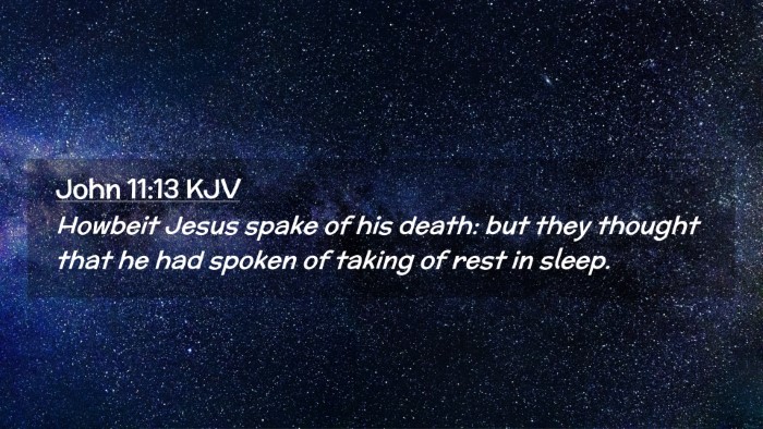 Picture 02 - John 11:13 KJV Desktop Wallpaper - Howbeit Jesus spake of his death: but they - Desktop Bible Verse Wallpaper