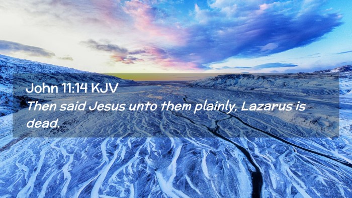 Picture 02 - John 11:14 KJV Desktop Wallpaper - Then said Jesus unto them plainly, Lazarus is - Desktop Bible Verse Wallpaper