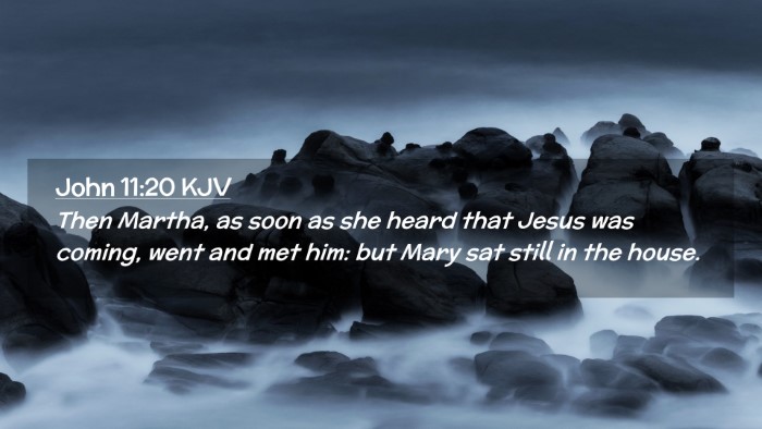 Picture 02 - John 11:20 KJV Desktop Wallpaper - Then Martha, as soon as she heard that Jesus was - Desktop Bible Verse Wallpaper